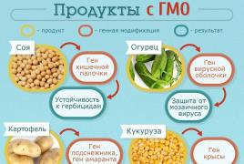 GMO хүнс аюулгүй юу?