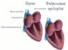 What is persistent atrial fibrillation and what is its treatment?