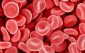 როგორ გავათხელოთ სისხლი: წამლები, საკვები და ხალხური საშუალებები როდის დალიოთ სისხლის გამათხელებელი აბები