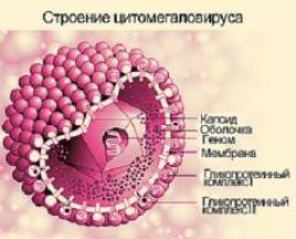 Cytomegalovírusová infekcia