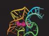 Acidi nucleici Quale dei seguenti è un monomero di RNA
