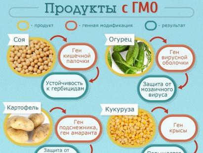 Sú GMO potraviny bezpečné?